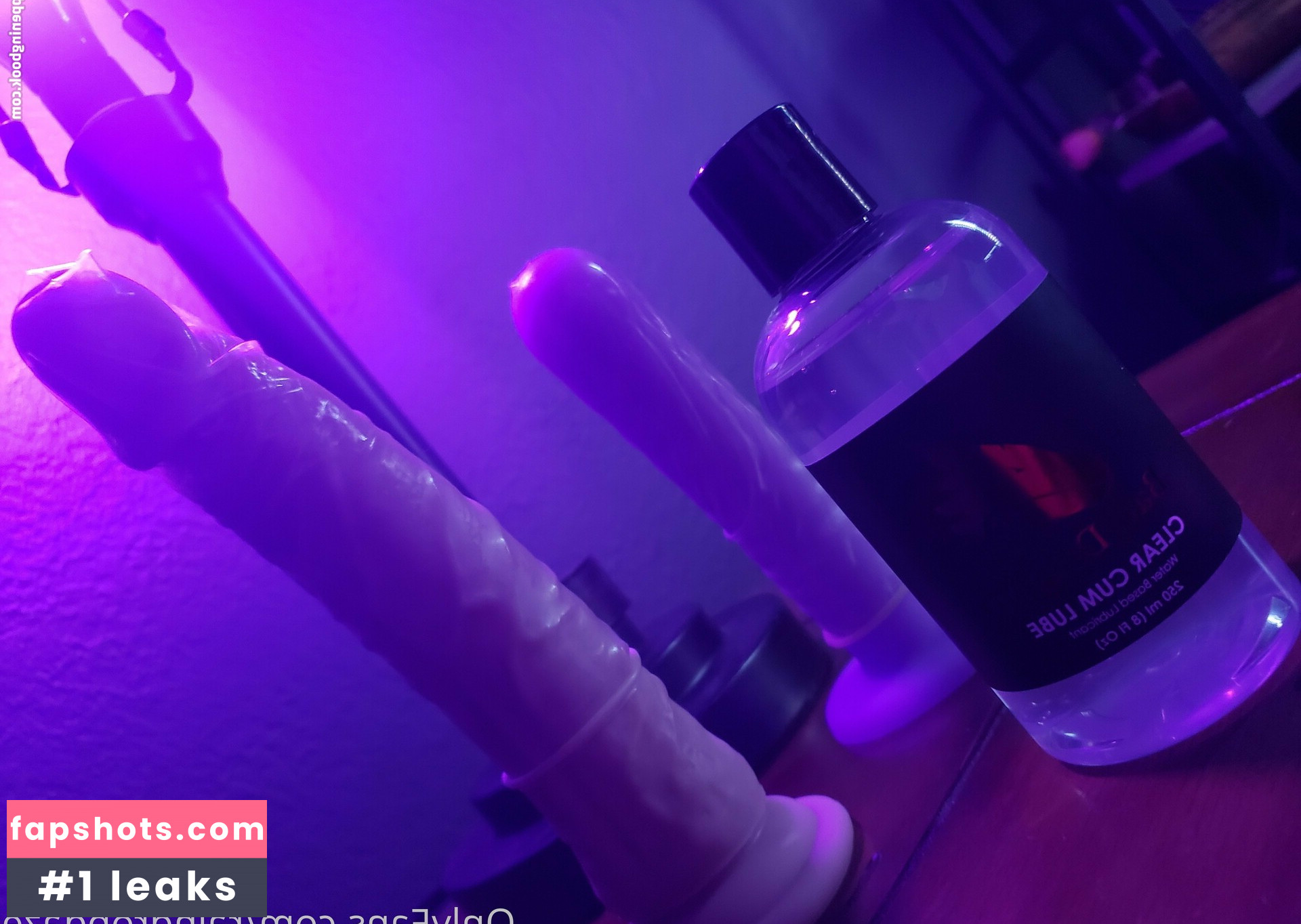 senchafox gallery photo #115