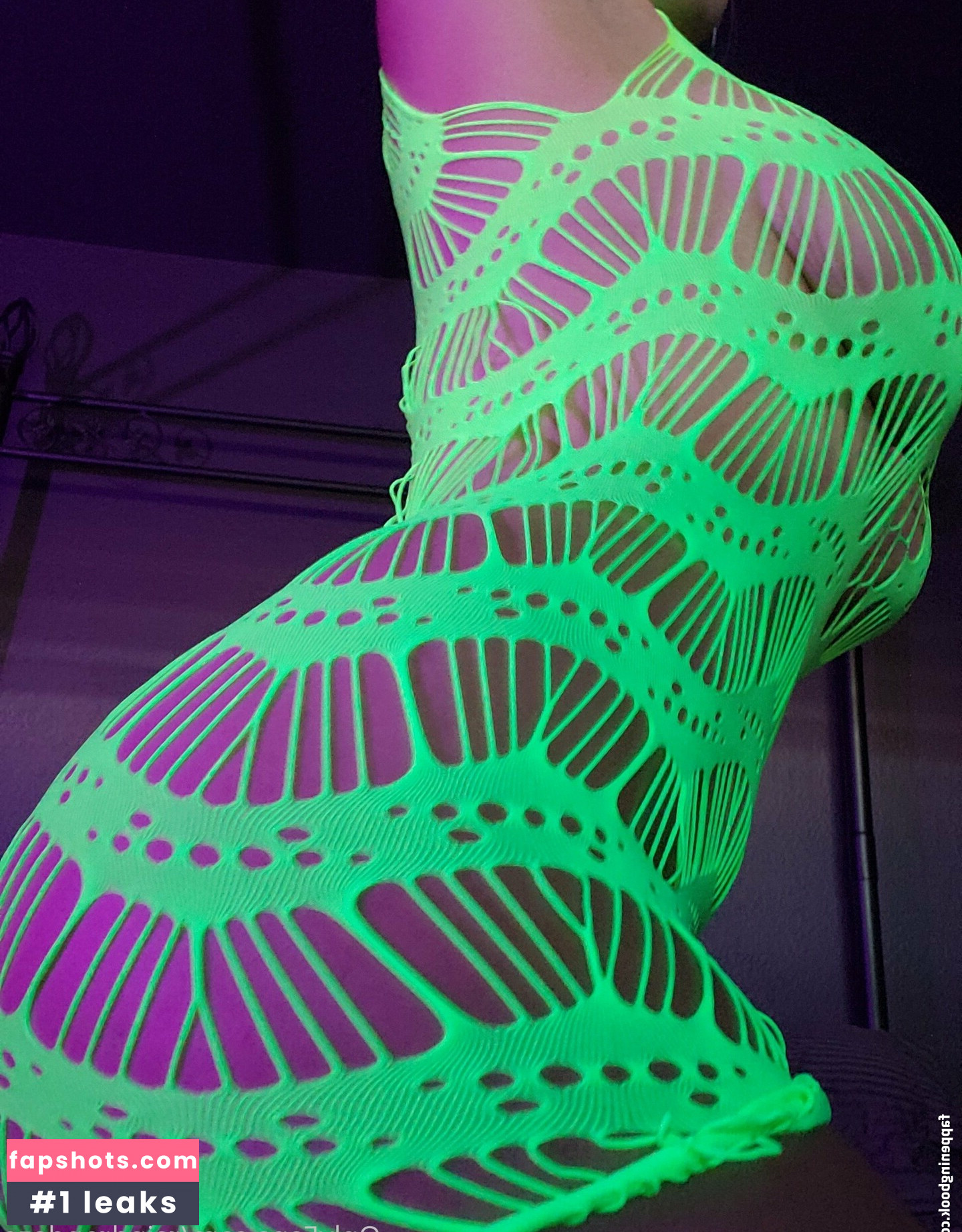 senchafox gallery photo #116