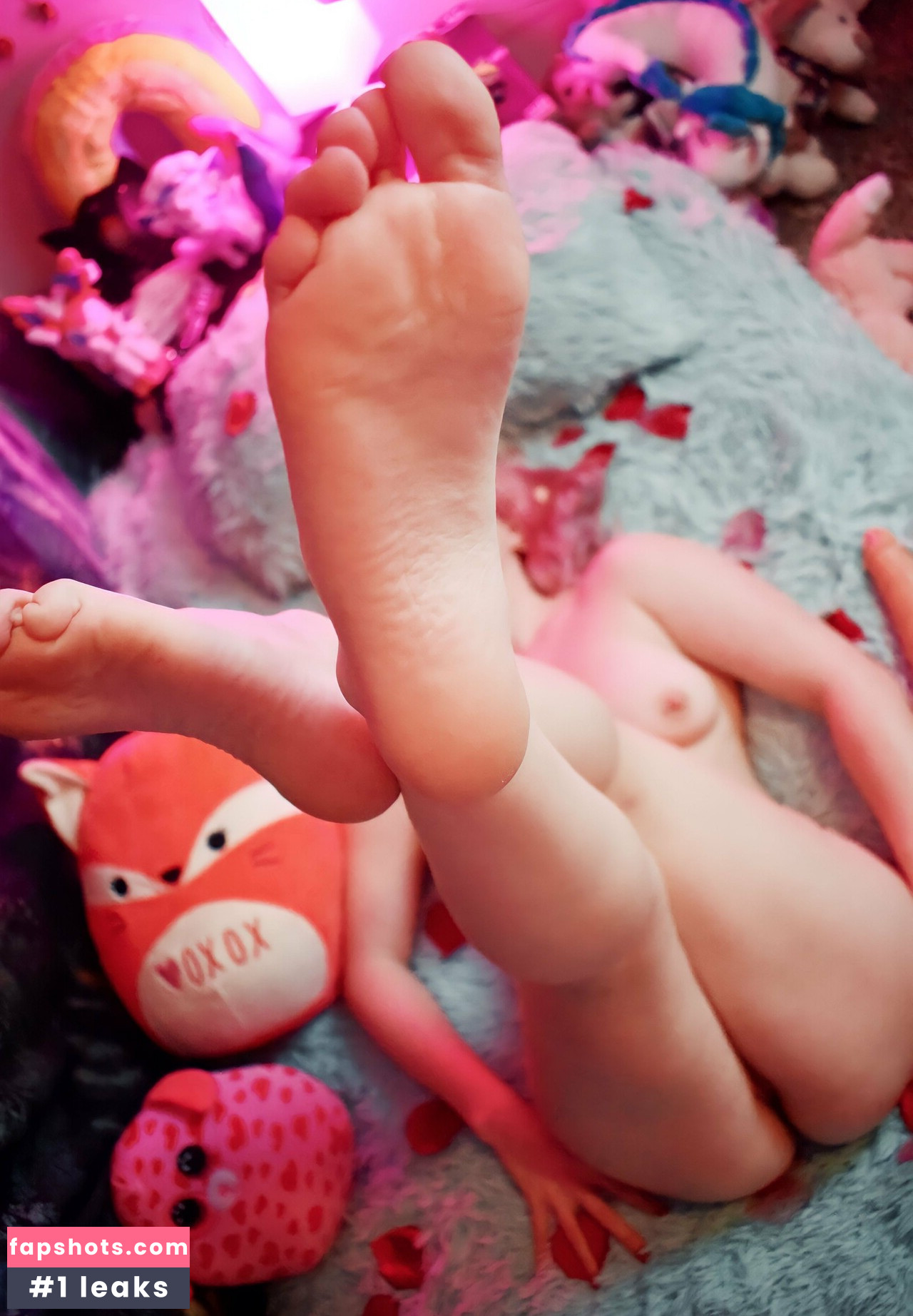 senchafox gallery photo #34