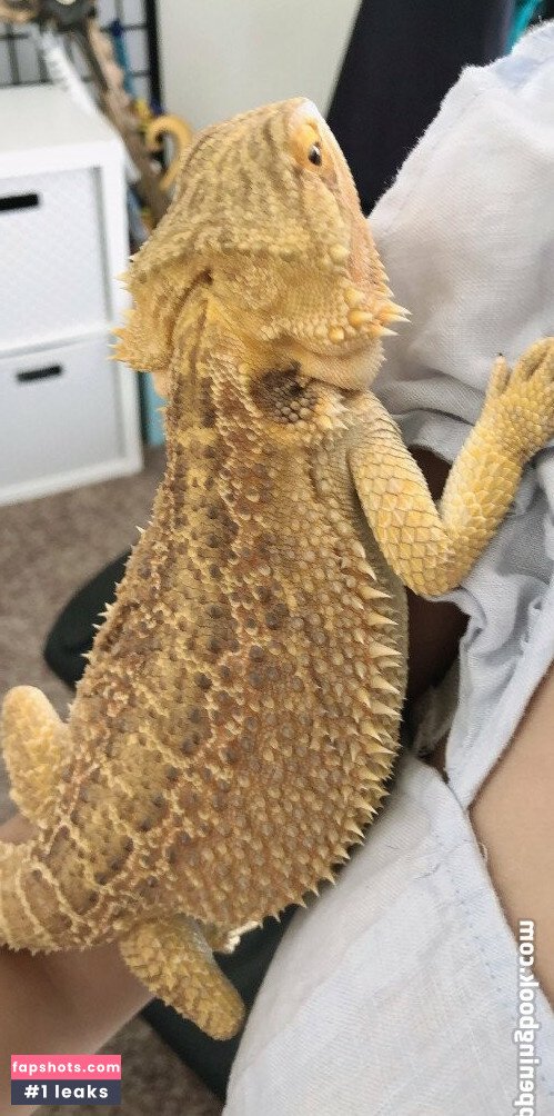 Senrii gallery photo #30