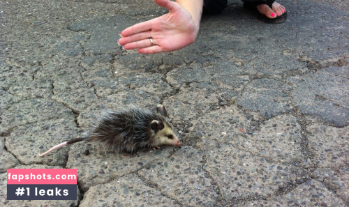 September Carrino gallery photo #3661