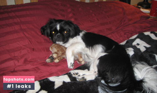 September Carrino gallery photo #3781