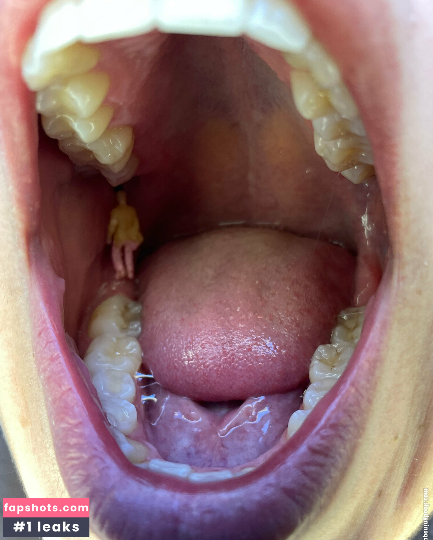 serenasoles99 Nude Leaks OnlyFans Photos #5 - LeakJerk