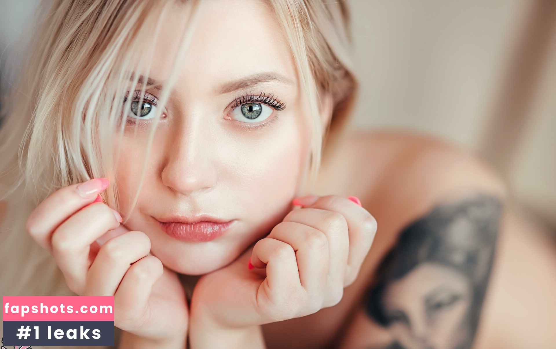 Setaya gallery photo #16