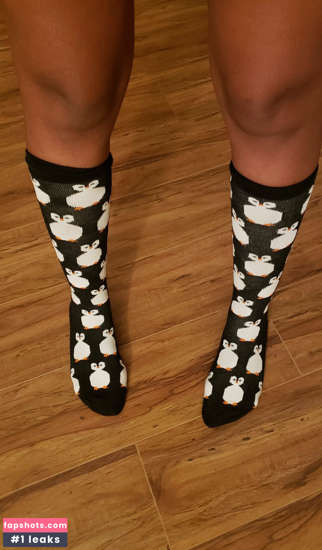 sexxyhorseclub gallery photo #34