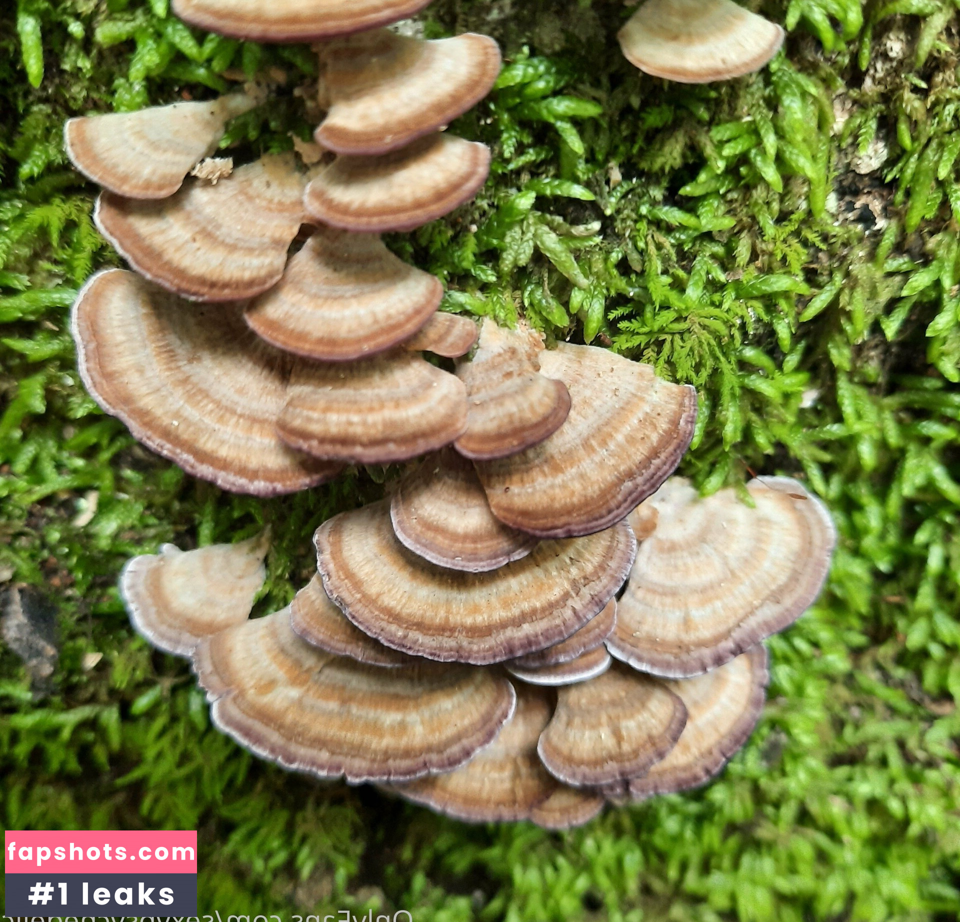 sexypsychedelic Nude Leaks OnlyFans Photos #7 - LeakJerk