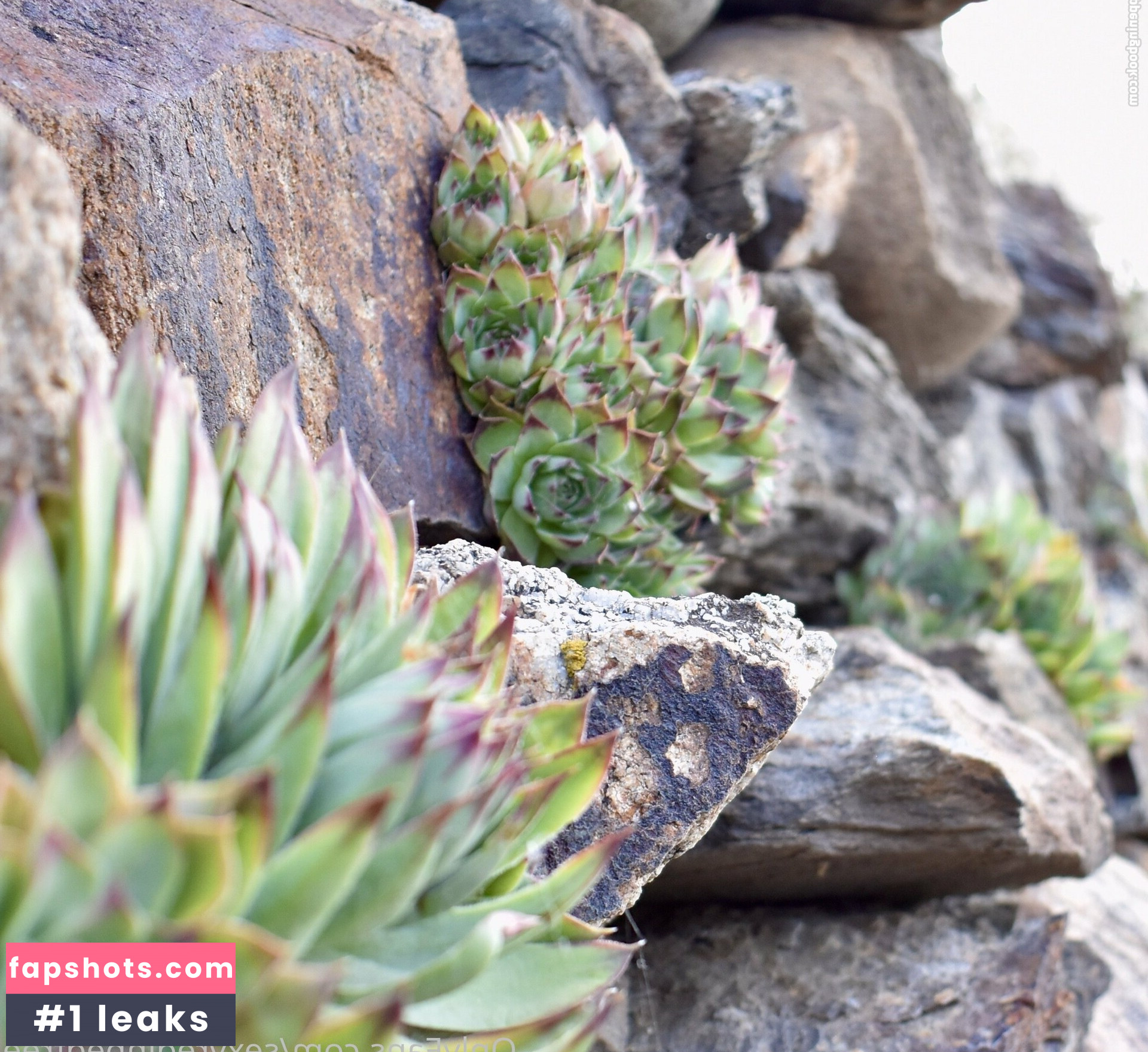 sexyredinbedfree gallery photo #80