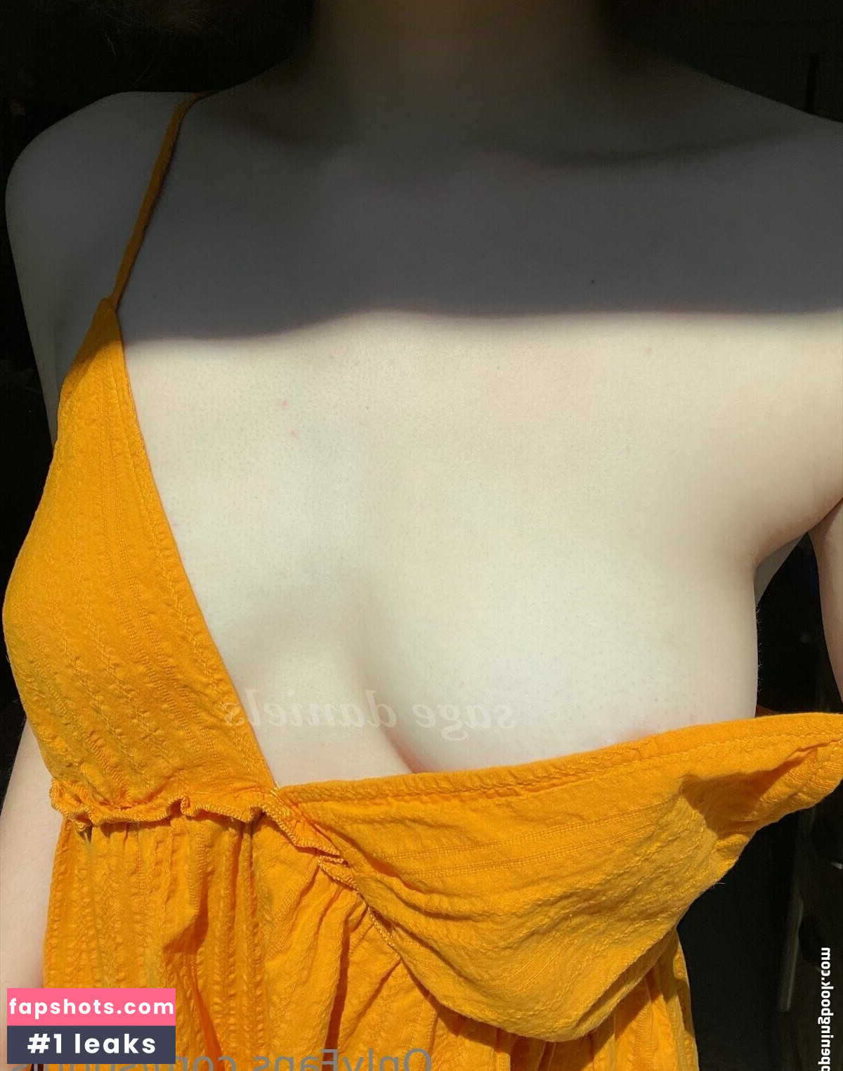 sgdnls gallery photo #30