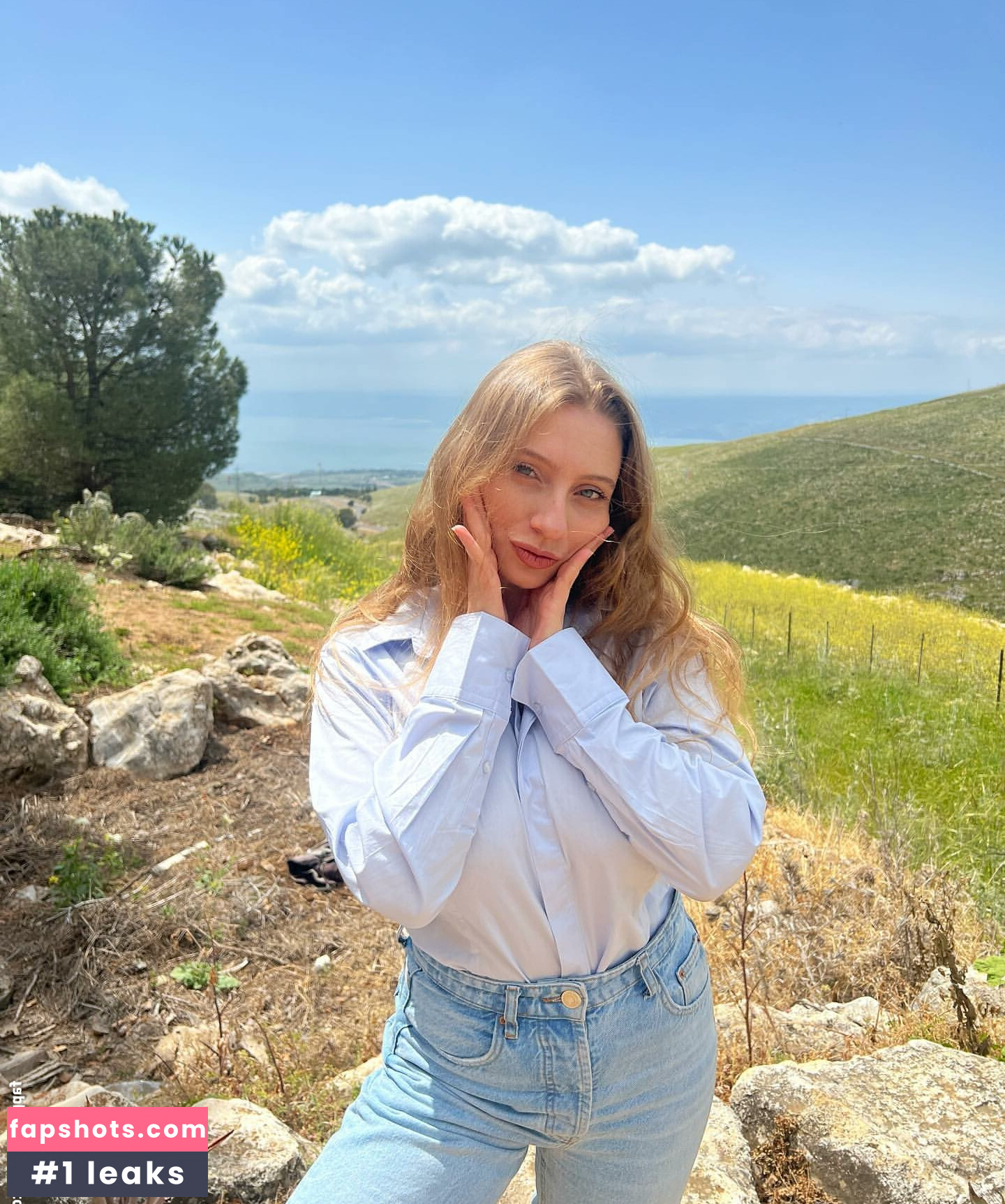 Shachar Alkoser gallery photo #11