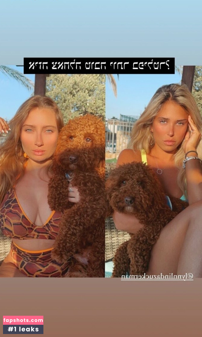 Shachar Alkoser gallery photo #28