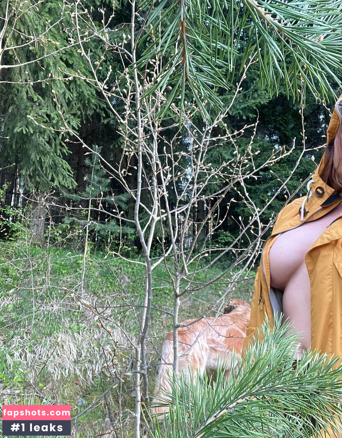 shadeofme gallery photo #3