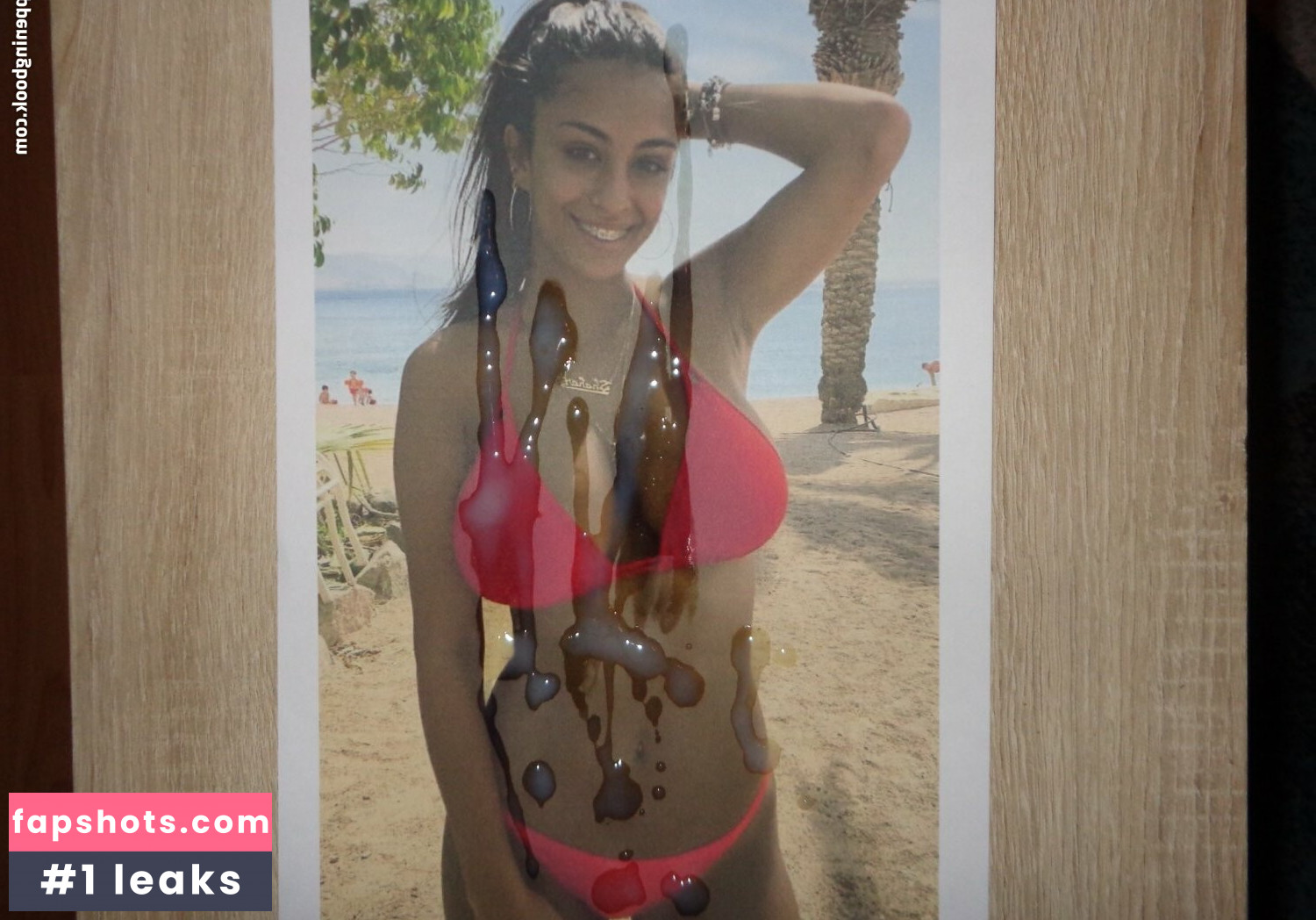 Shahar Halaf gallery photo #5