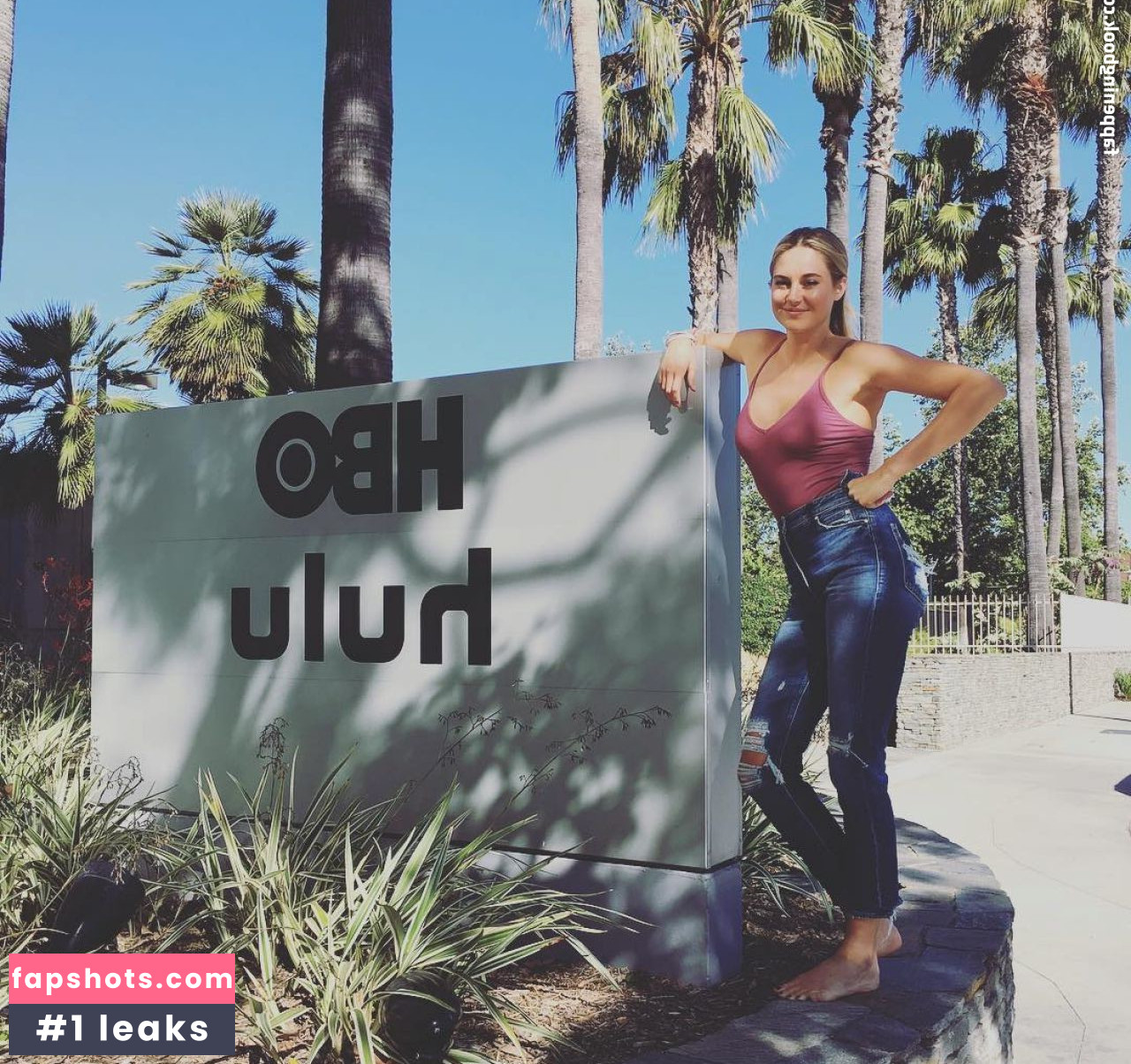 Shailene Woodley Nude Leaks OnlyFans Photos #117 - LeakJerk