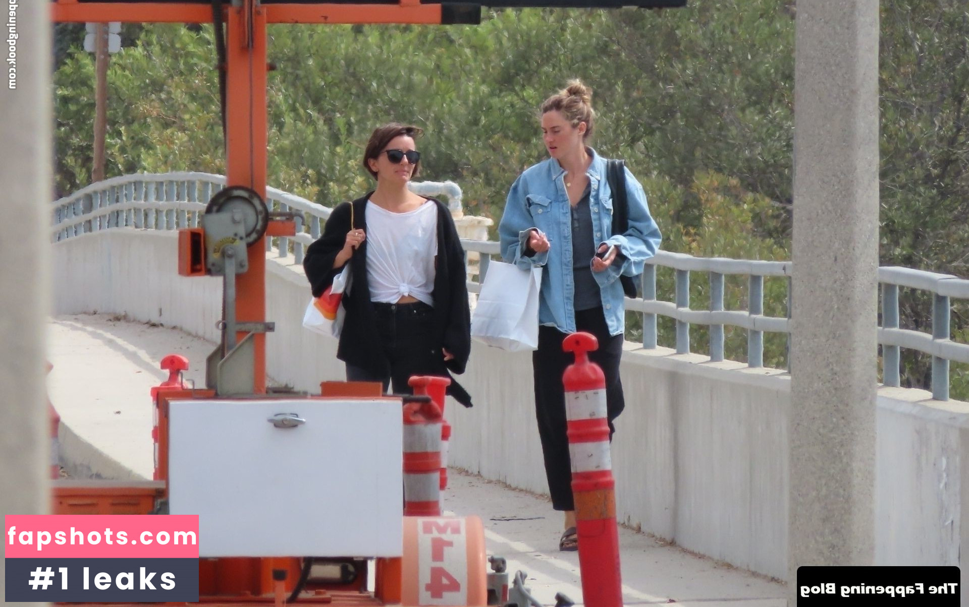 Shailene Woodley Nude Leaks OnlyFans Photos #161 - LeakJerk