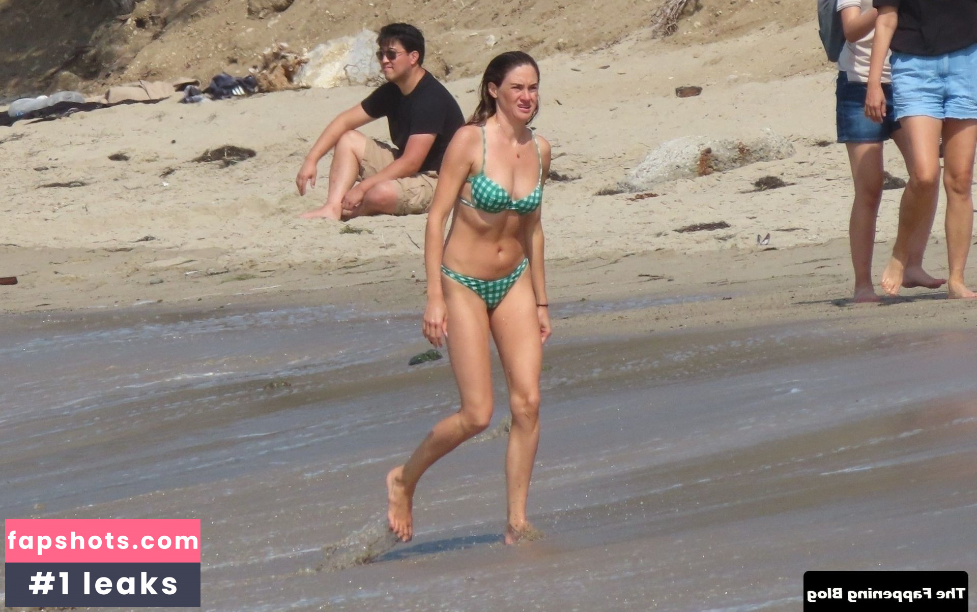 Shailene Woodley Nude Leaks OnlyFans Photos #180 - LeakJerk