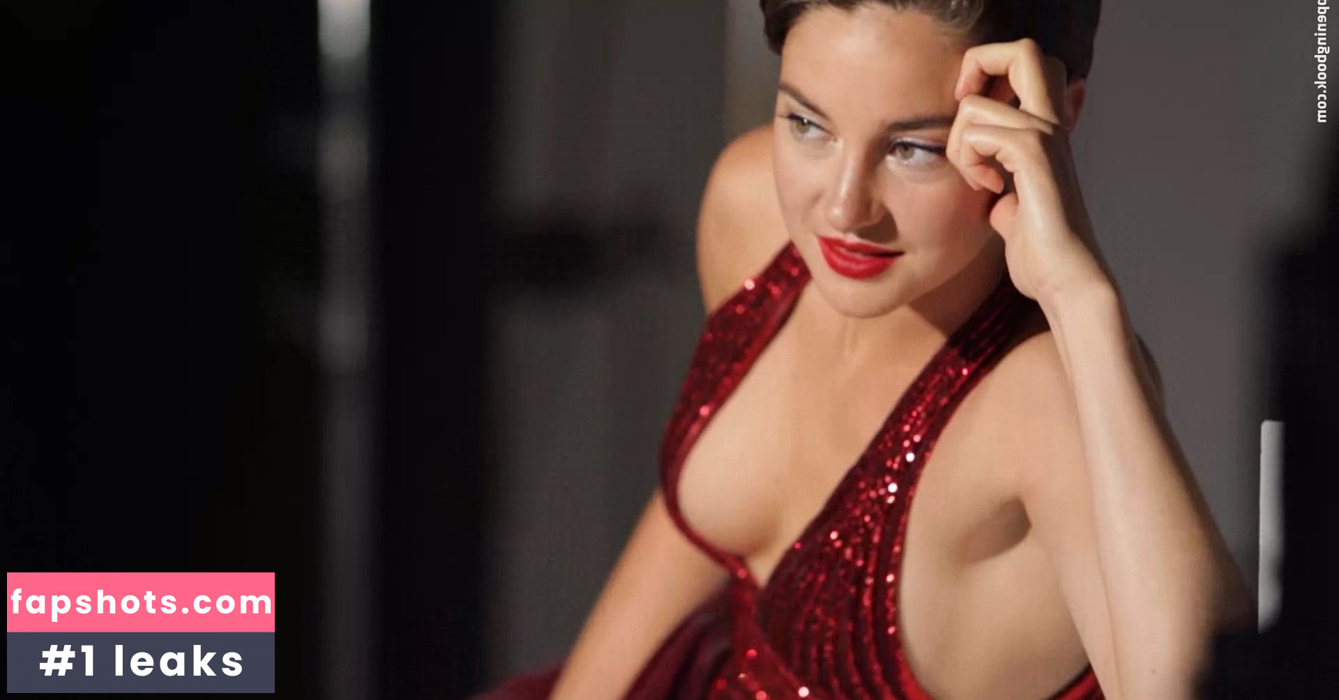 Shailene Woodley Nude Leaks OnlyFans Photos #270 - LeakJerk