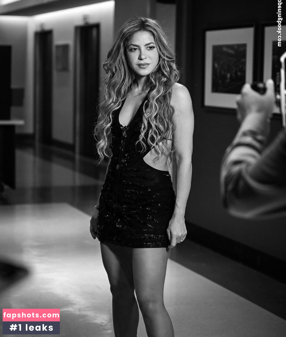 Shakira Nacktheit OnlyFans Fotos #12 - Fapshots