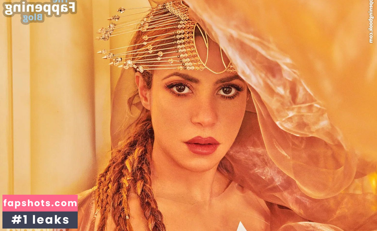 Shakira Nacktheit OnlyFans Fotos #169 - Fapshots