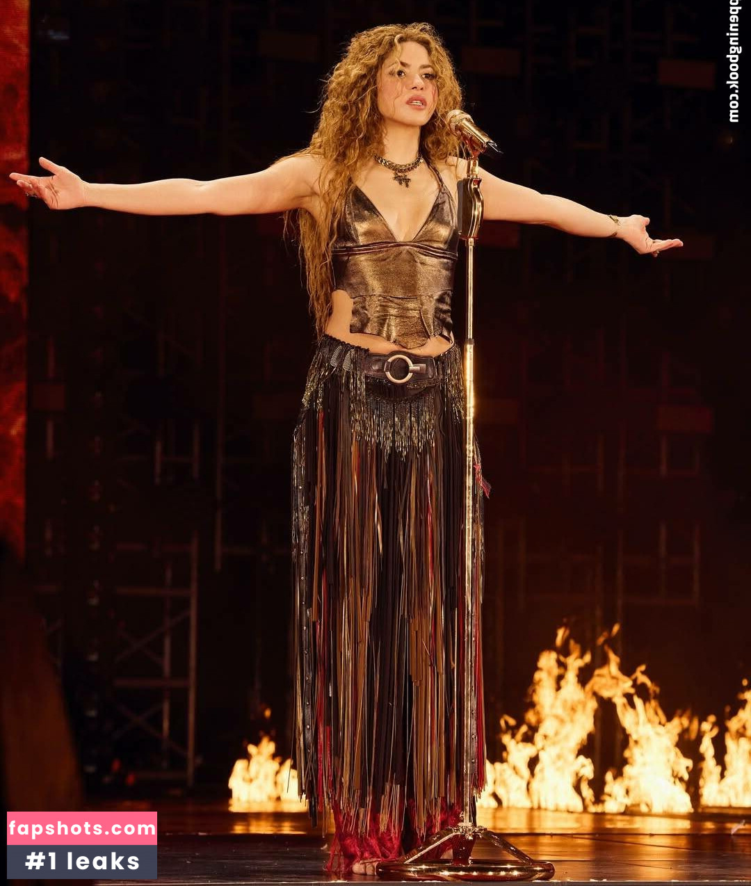 Shakira Nacktheit OnlyFans Fotos #46 - Fapshots