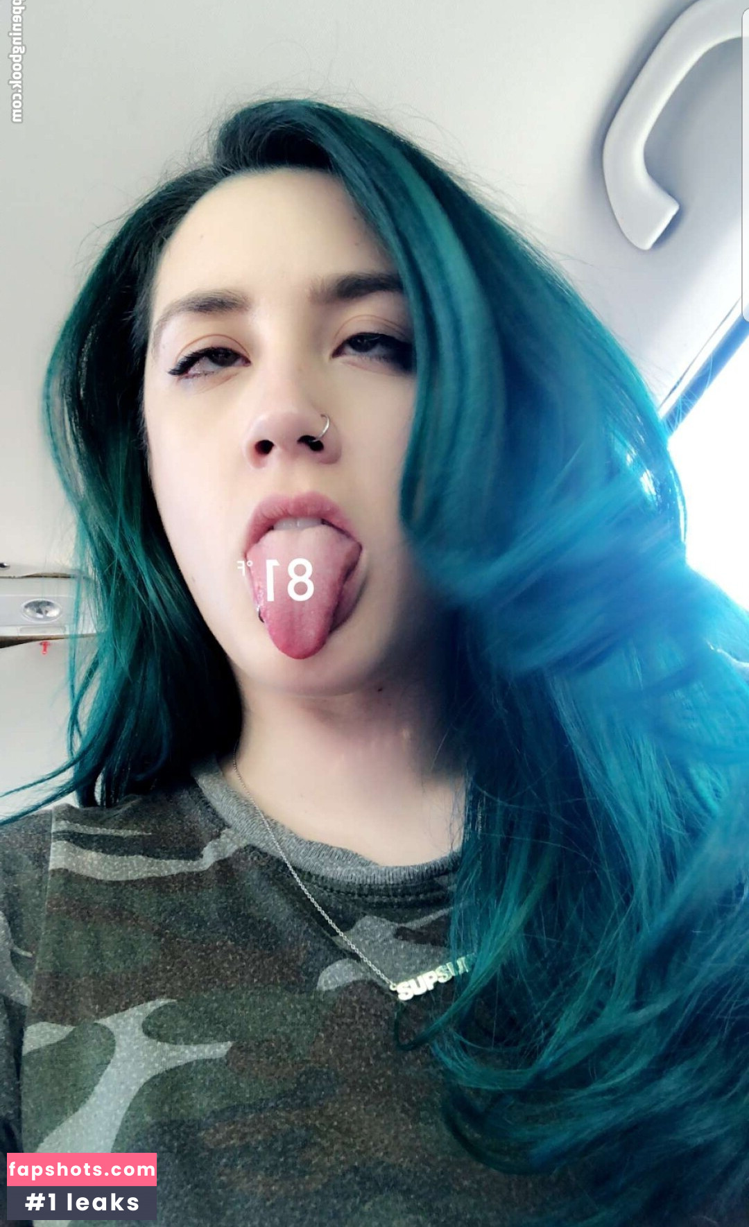 Shandude gallery photo #6