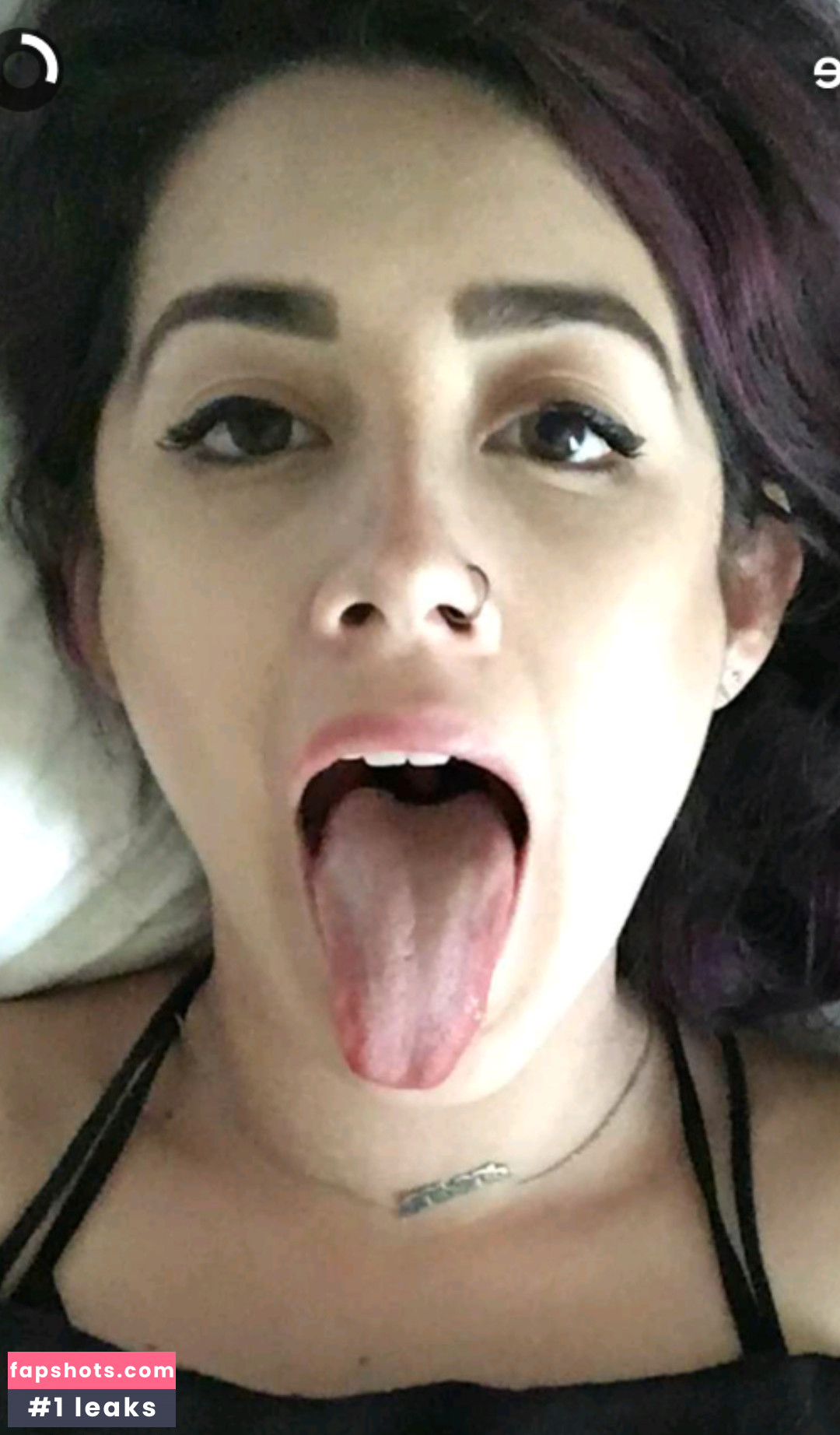 Shandude gallery photo #8