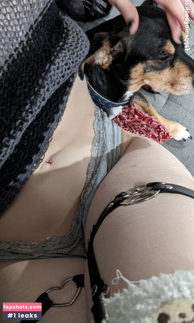 Shaninjago gallery photo #10