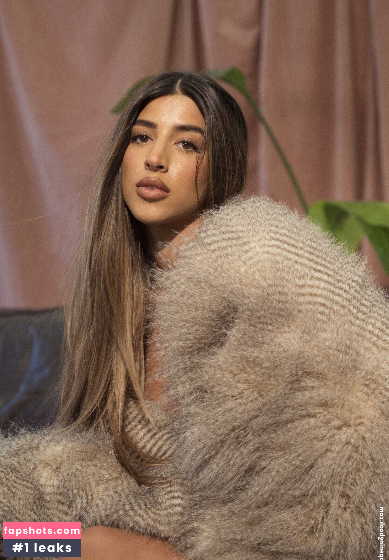 Shanna Signh gallery photo #10