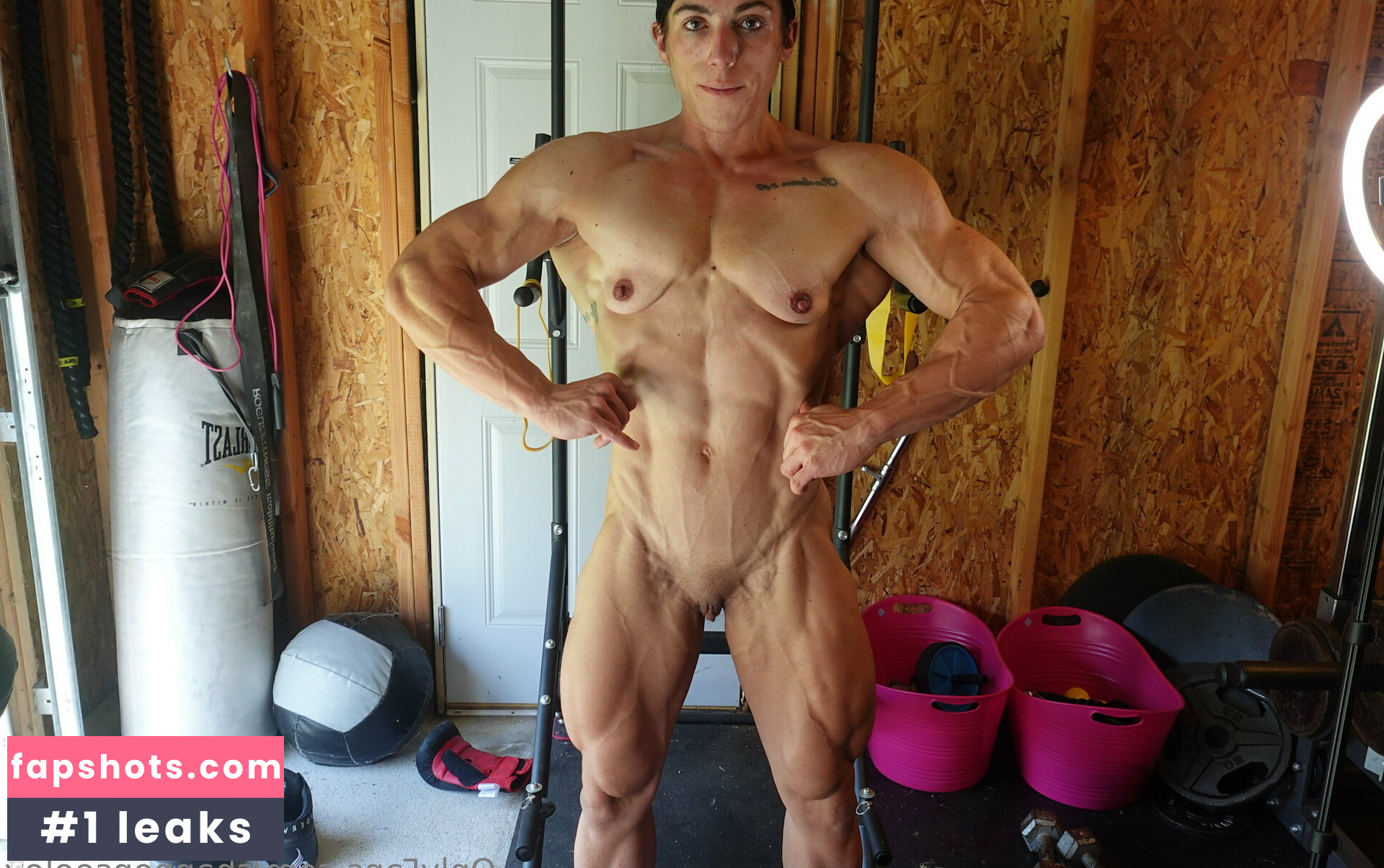 Shannon Seeley Nahé úniky fotek pouze od fanoušků #29 - Fapshots