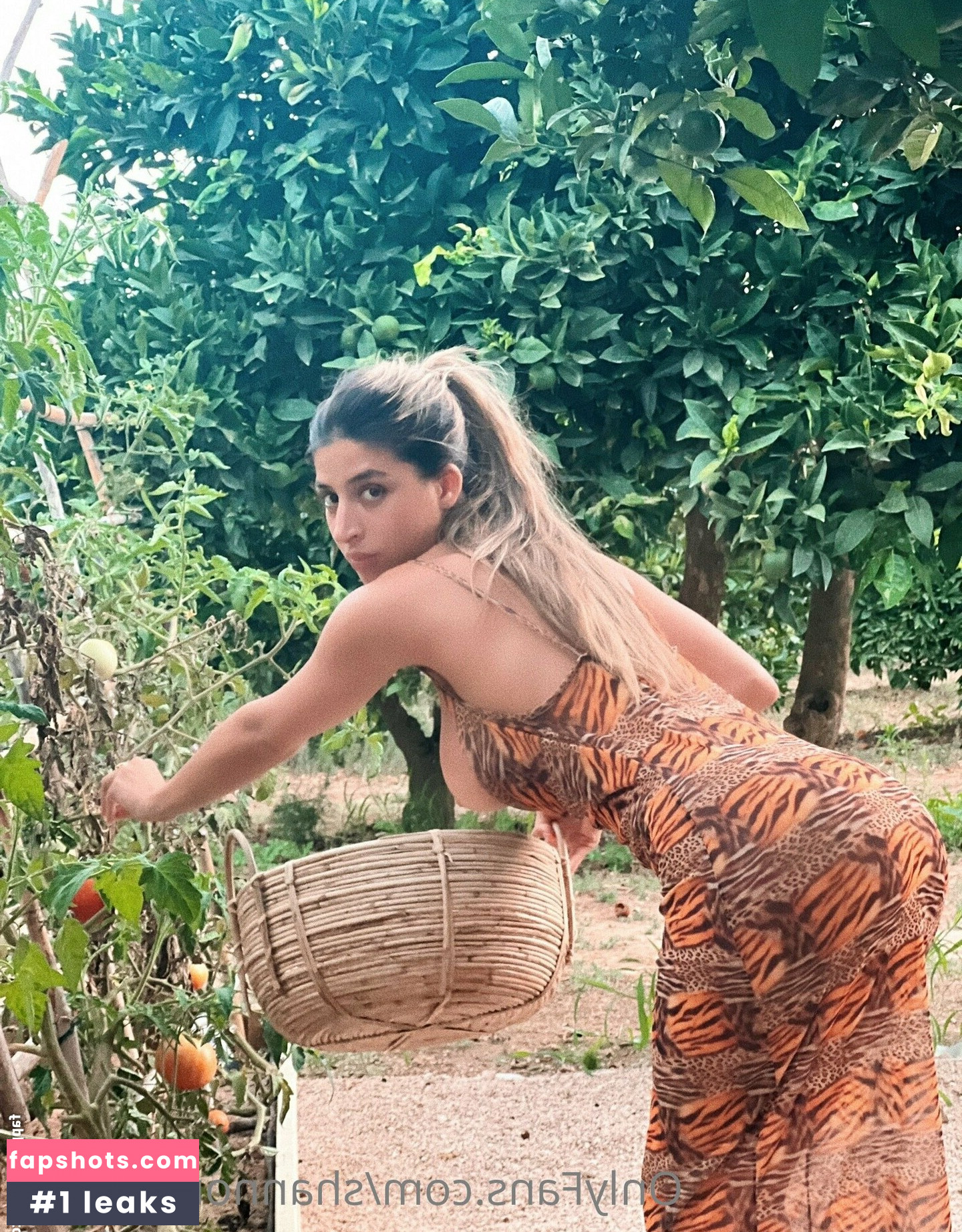 Shannon Singh gallery photo #202