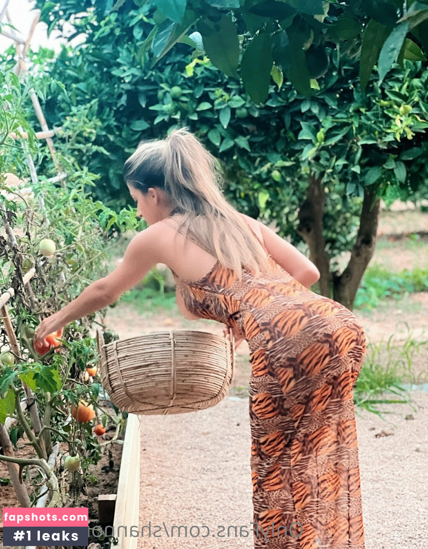 Shannon Singh gallery photo #206