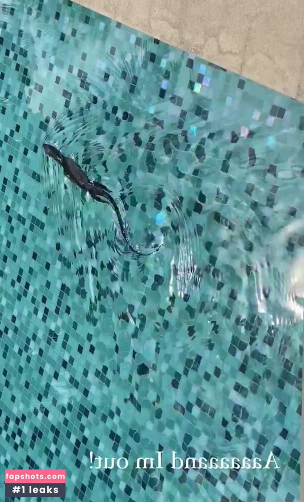 Shantel VanSanten gallery photo #537