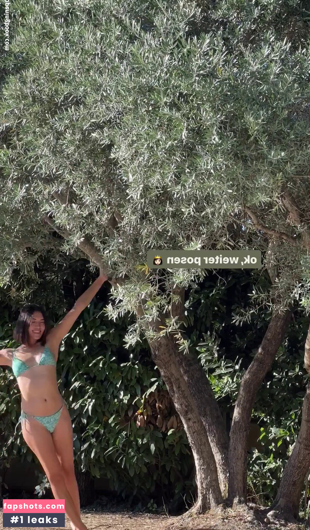 Shanti Tan gallery photo #234