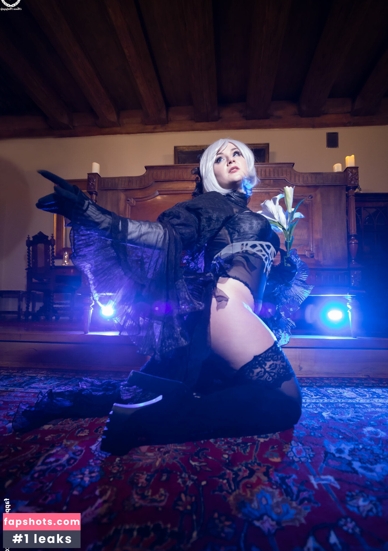 Shappiworkshop gallery photo #2