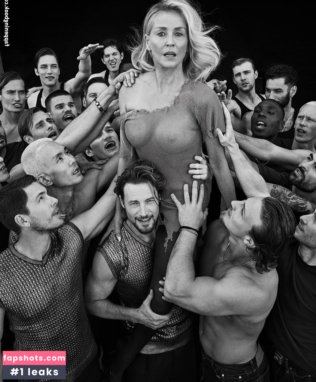 Sharon Stone Filtración Desnuda OnlyFans Foto #11 - Fapshots