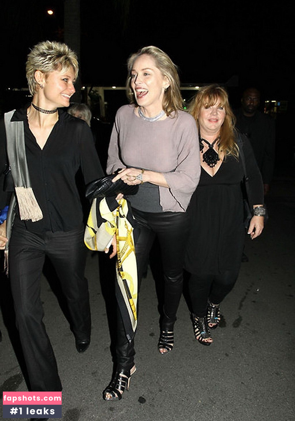 Sharon Stone Filtración Desnuda OnlyFans Foto #108 - Fapshots