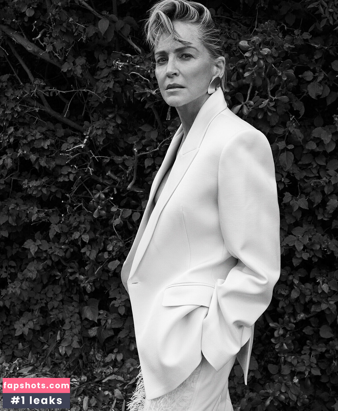 Sharon Stone Filtración Desnuda OnlyFans Foto #12 - Fapshots