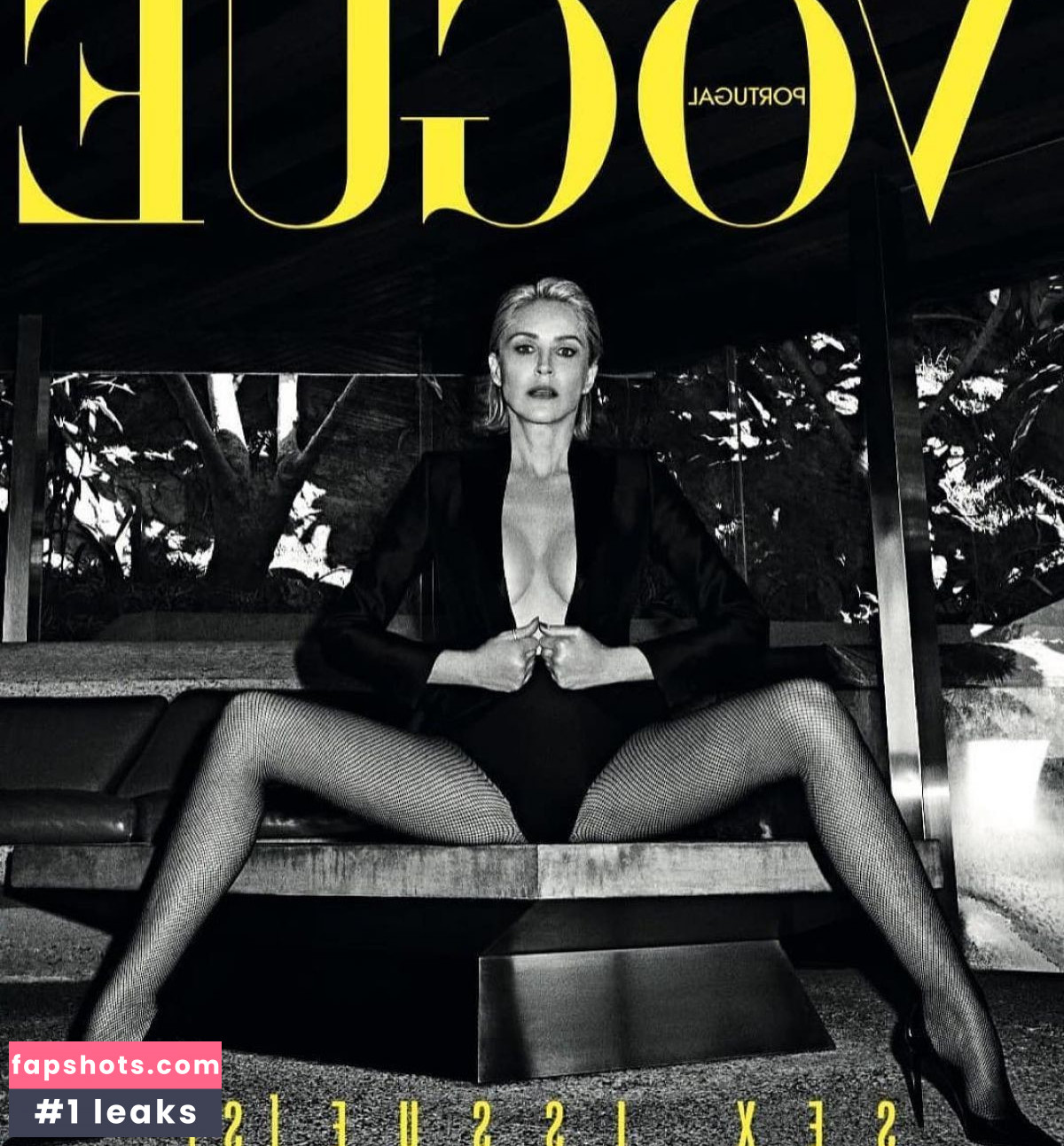 Sharon Stone Filtración Desnuda OnlyFans Foto #113 - Fapshots