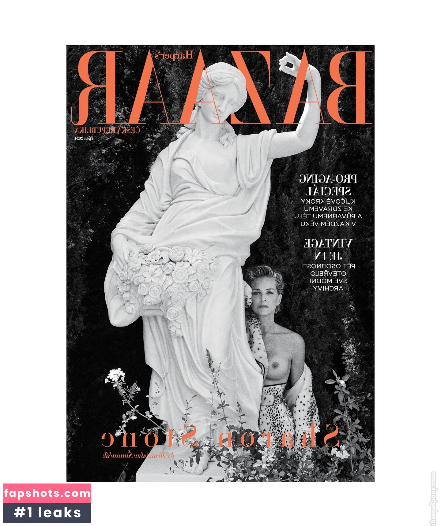 Sharon Stone Filtración Desnuda OnlyFans Foto #15 - Fapshots