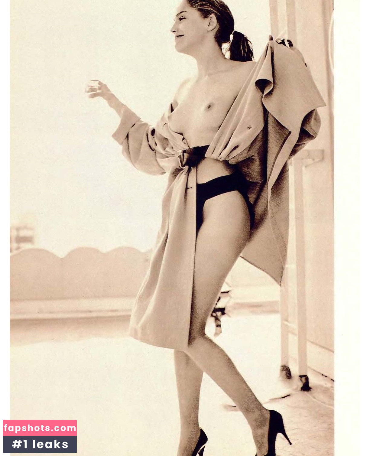 Sharon Stone Filtración Desnuda OnlyFans Foto #58 - Fapshots