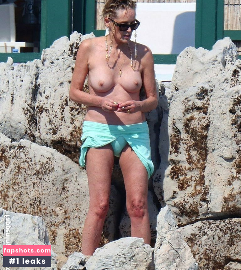 Sharon Stone Filtración Desnuda OnlyFans Foto #64 - Fapshots