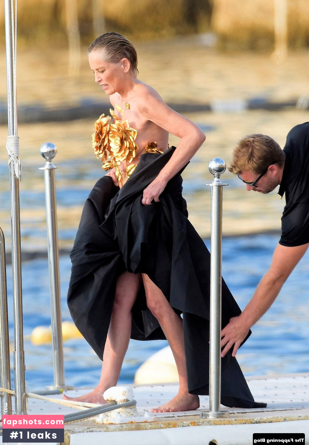 Sharon Stone Filtración Desnuda OnlyFans Foto #78 - Fapshots