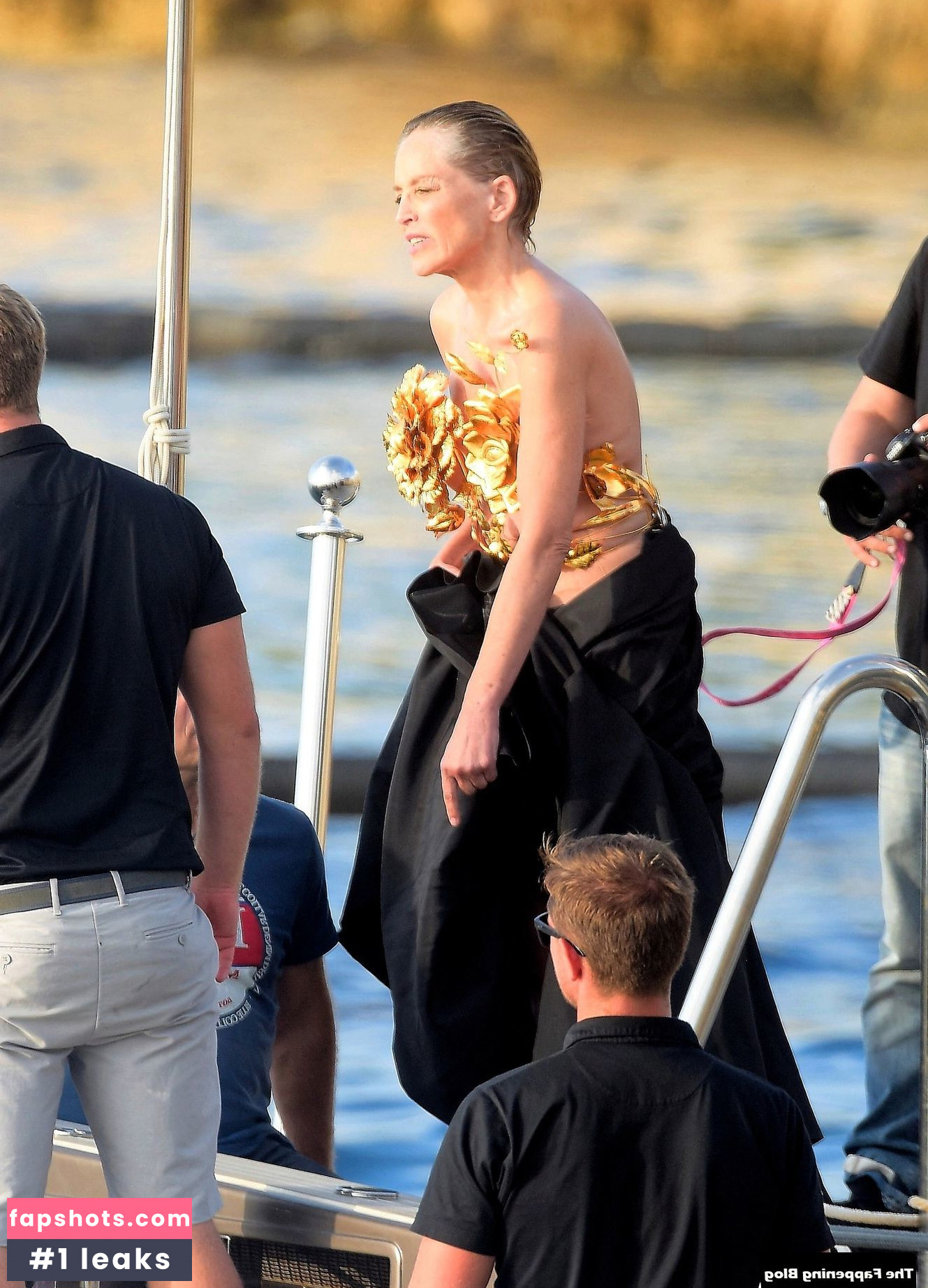 Sharon Stone Filtración Desnuda OnlyFans Foto #79 - Fapshots