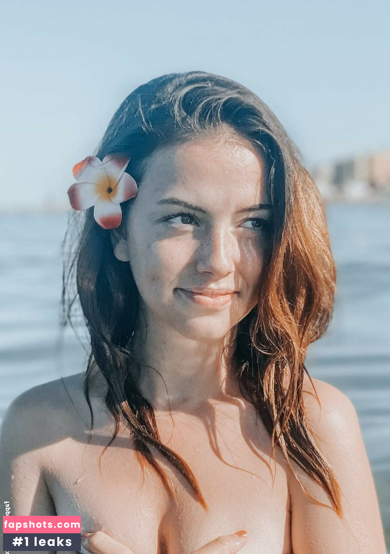 Shauna Dewit gallery photo #99