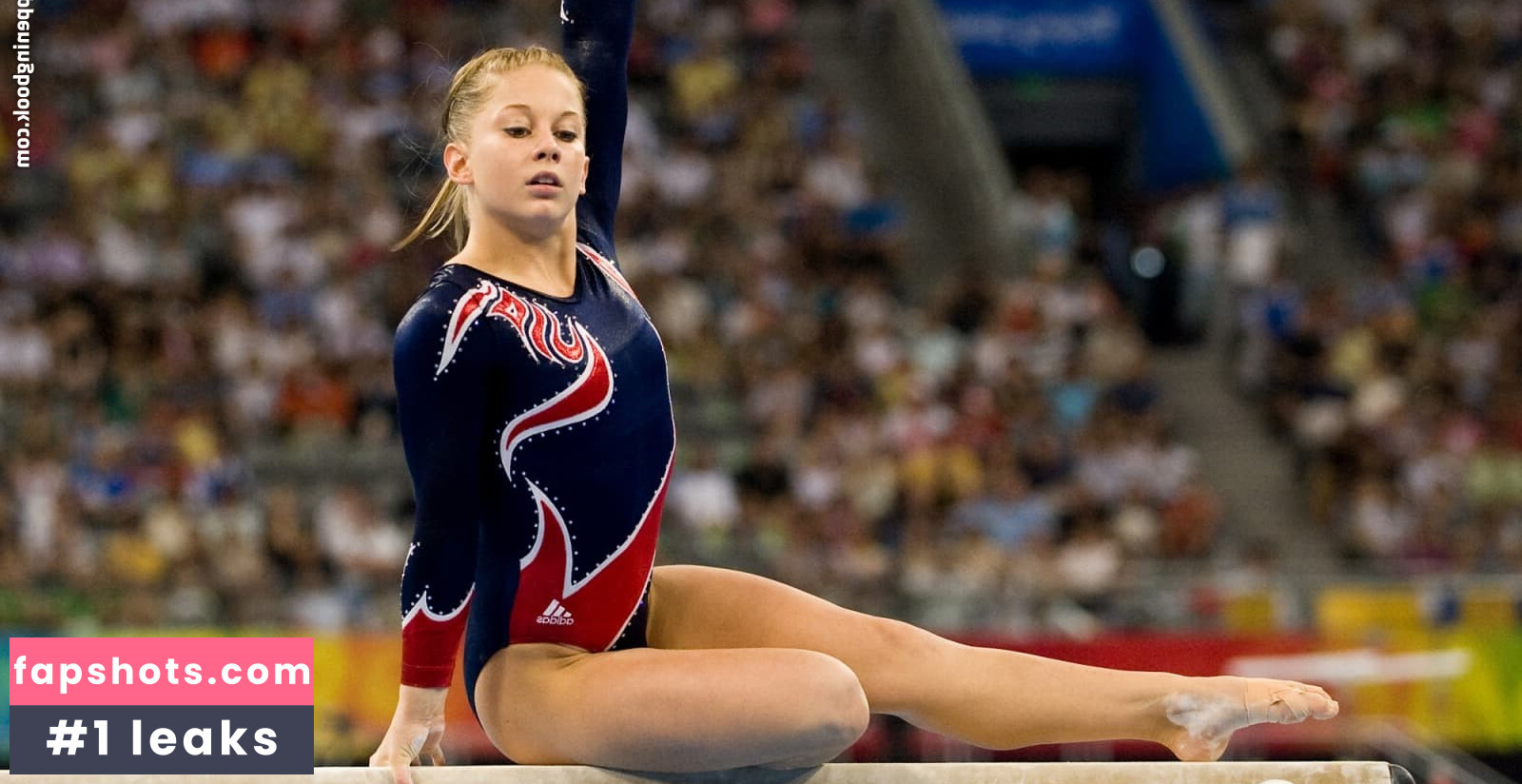 Shawn Johnson Nude Leaks OnlyFans Photos #17 - LeakJerk