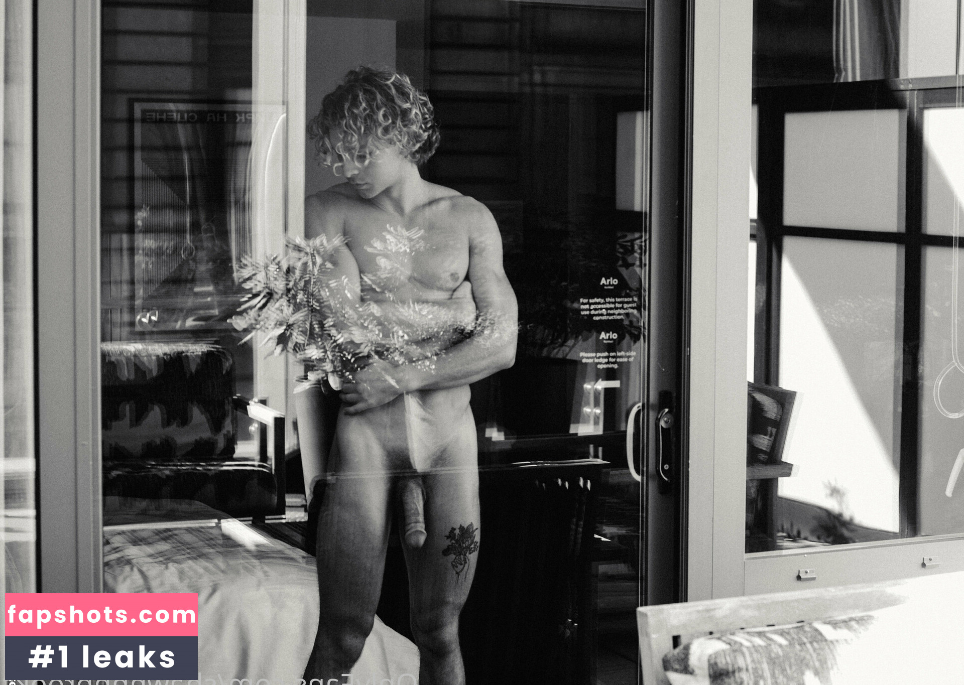 shawnnnbrooks gallery photo #8