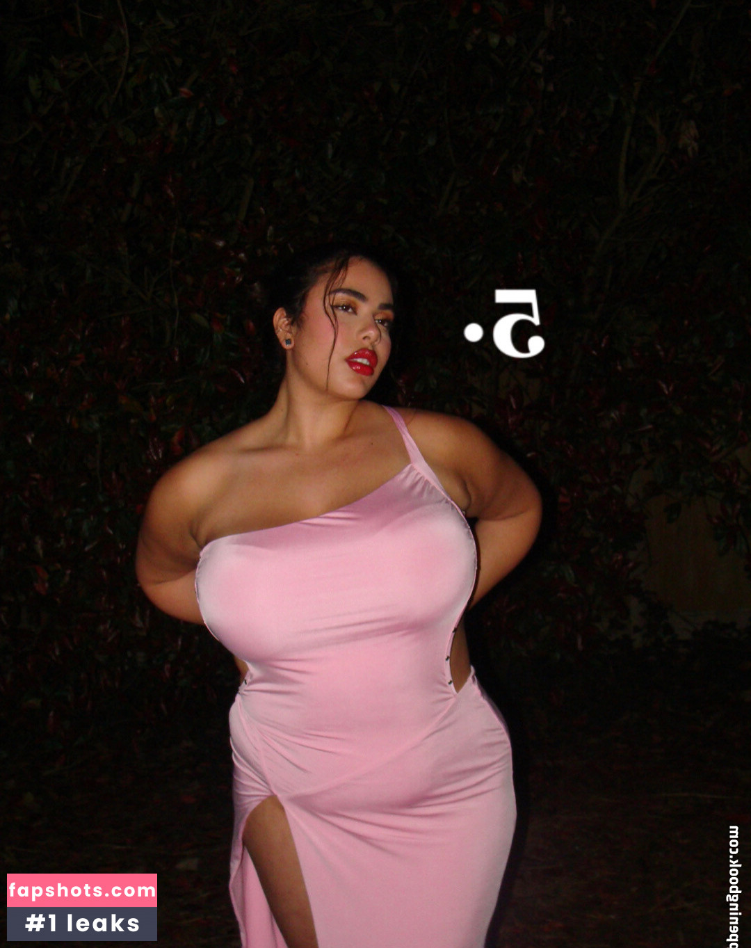 Shay Zanco gallery photo #6