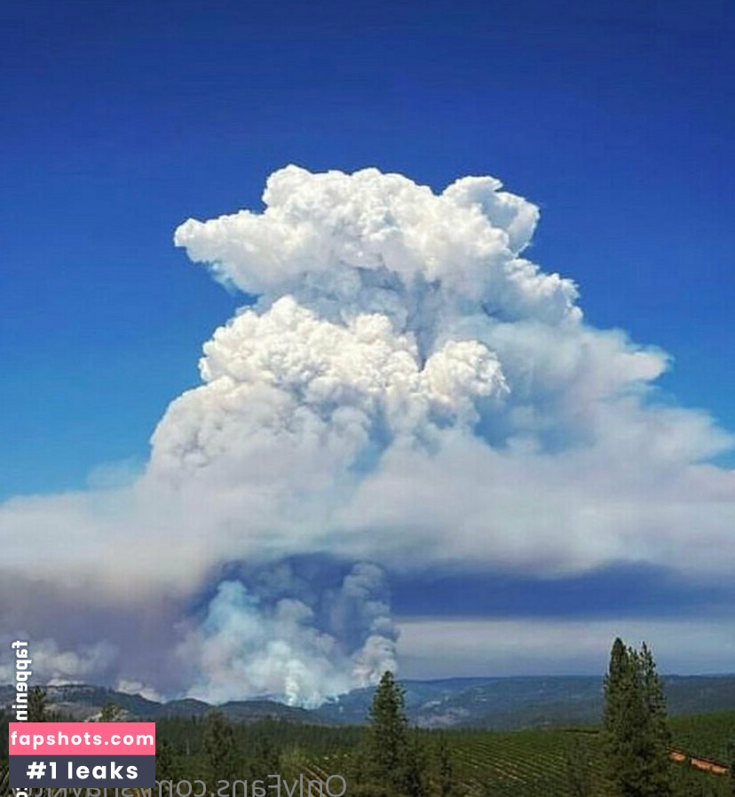 shaykitty gallery photo #13