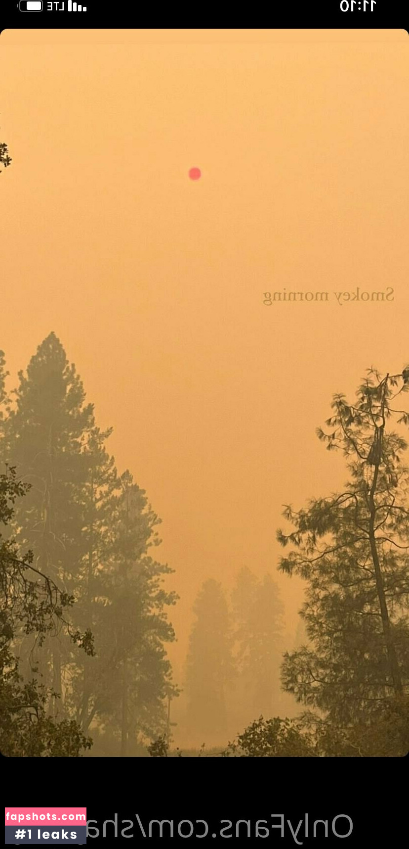 shaykitty gallery photo #14