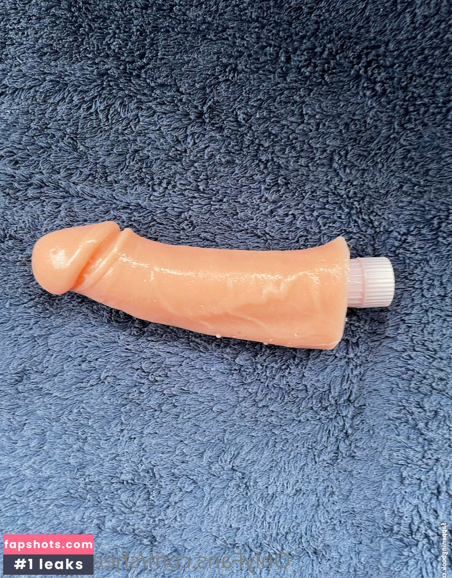 sheerdelight1 gallery photo #9