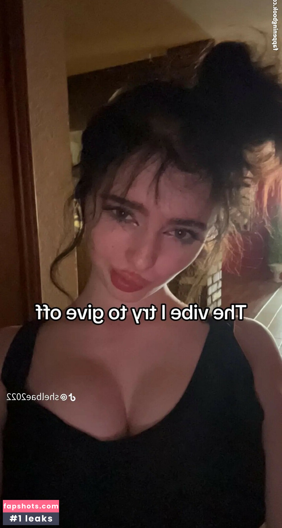 Shelbae2022 Nude Leaks OnlyFans Photos #14 - LeakJerk